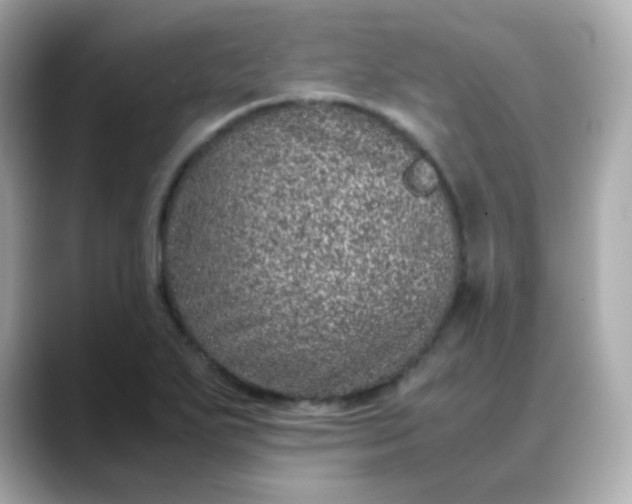 X0000088421271200706051205