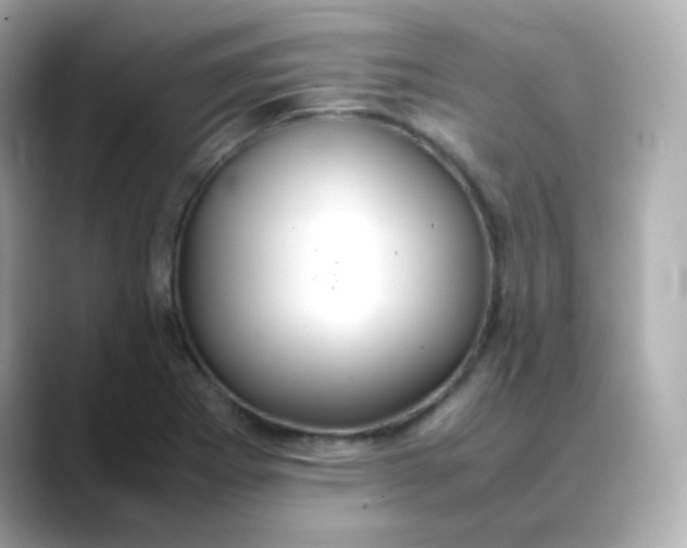 X0000088421273200706051205