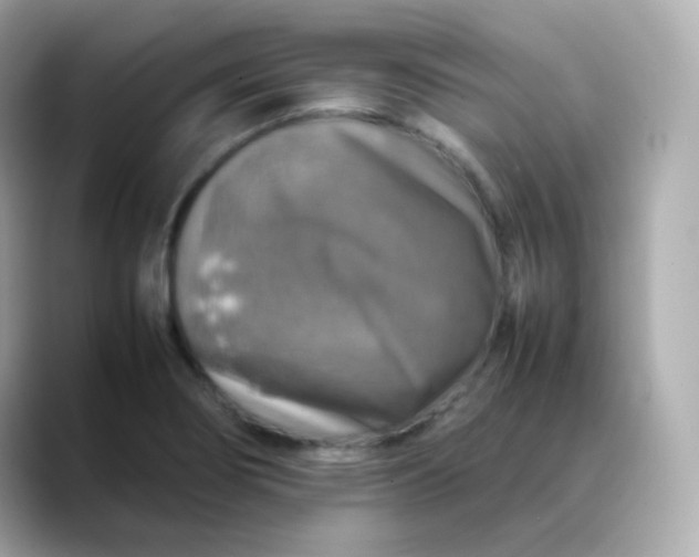 X0000088421274200706051205