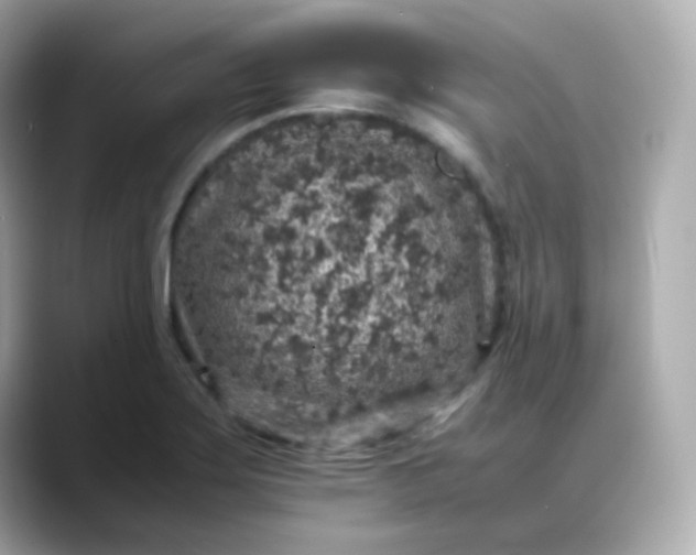 X0000088421275200706051205