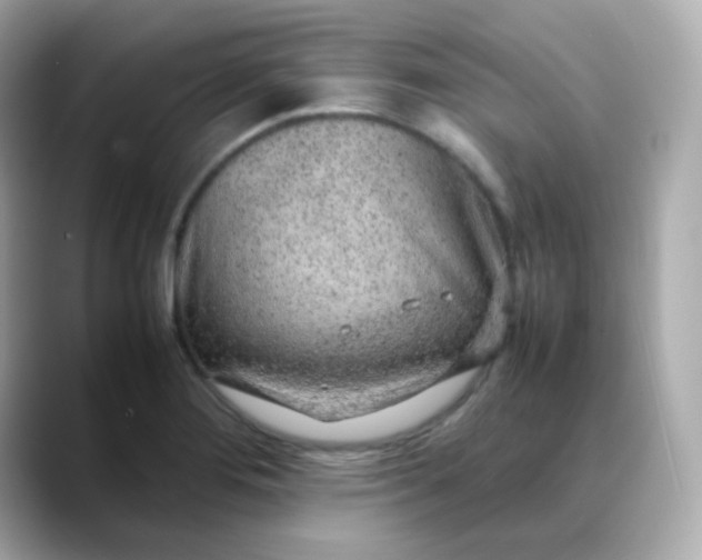 X0000088421276200706051205