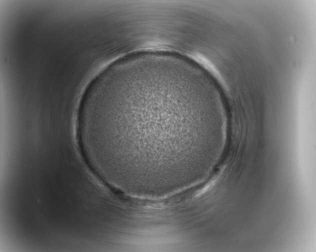 X0000088421277200706051205
