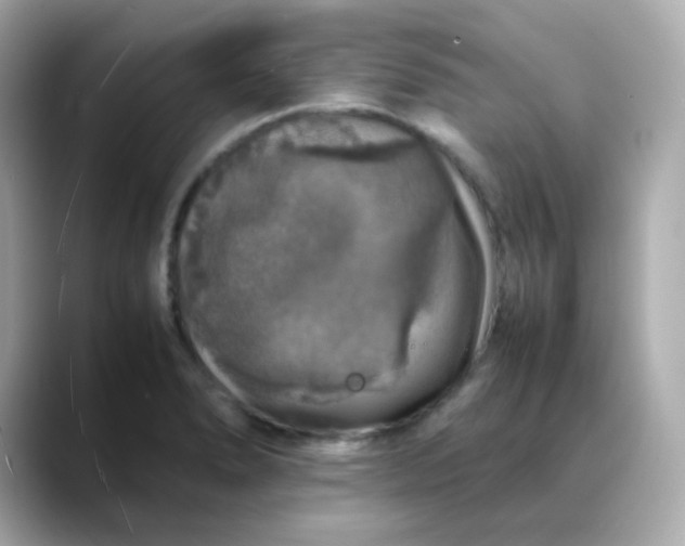 X0000088421278200706051205