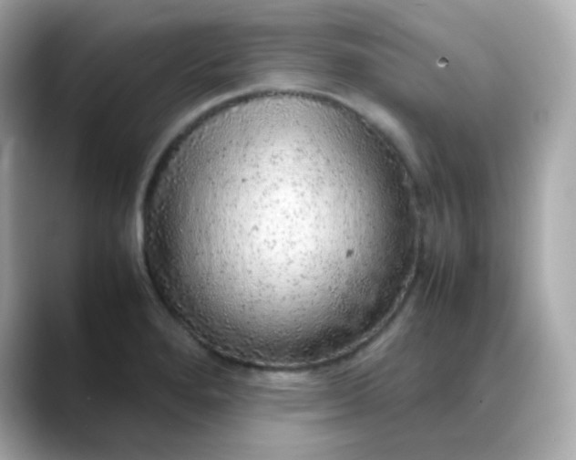 X0000088421280200706051205