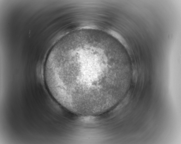 X0000088421282200706051205