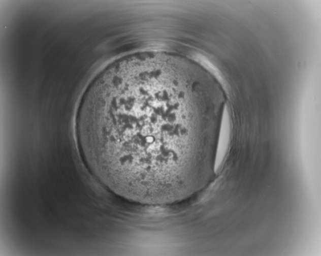X0000088421283200706051205