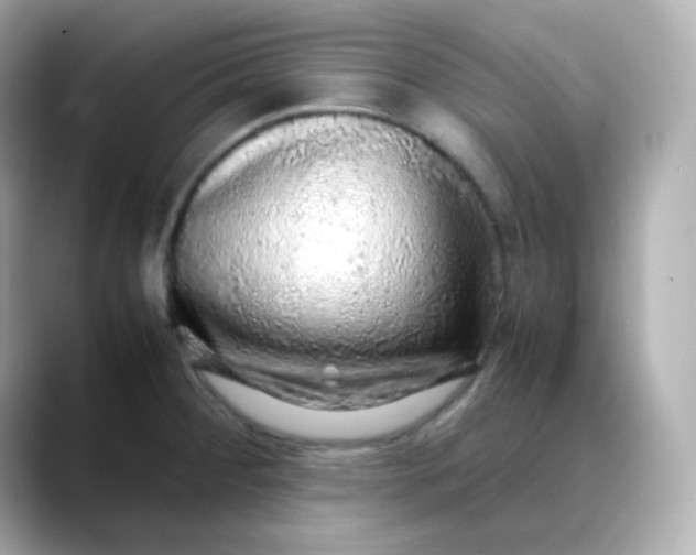 X0000088421284200706051205
