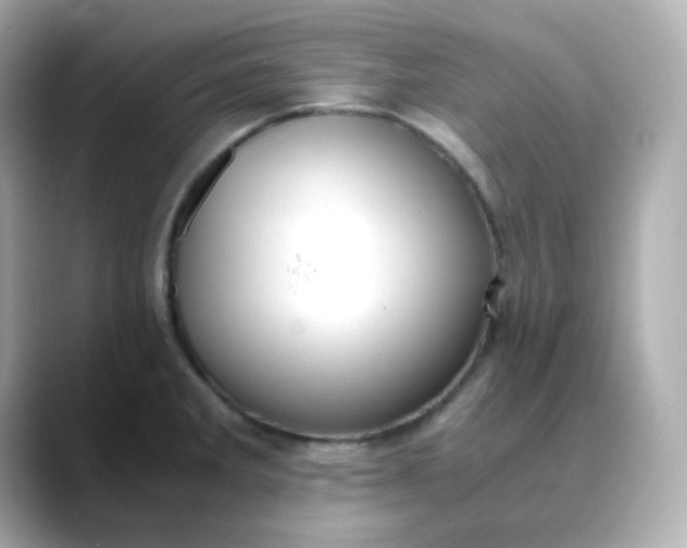 X0000088421285200706051205