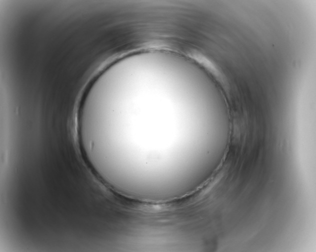 X0000088421286200706051205