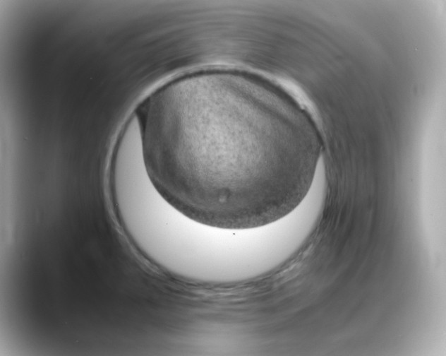 X0000088421287200706051205