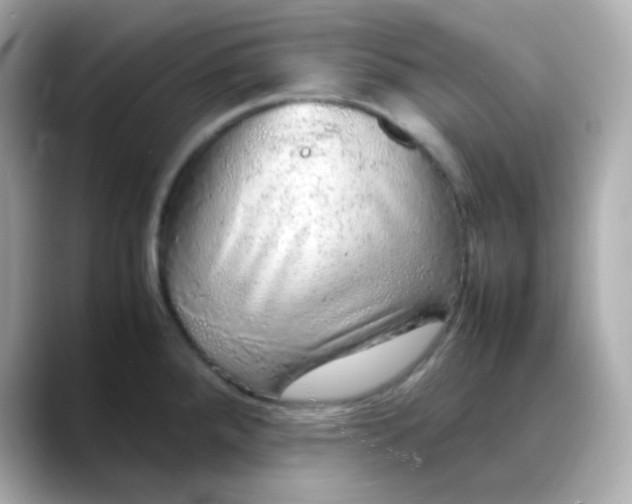 X0000088421288200706051205