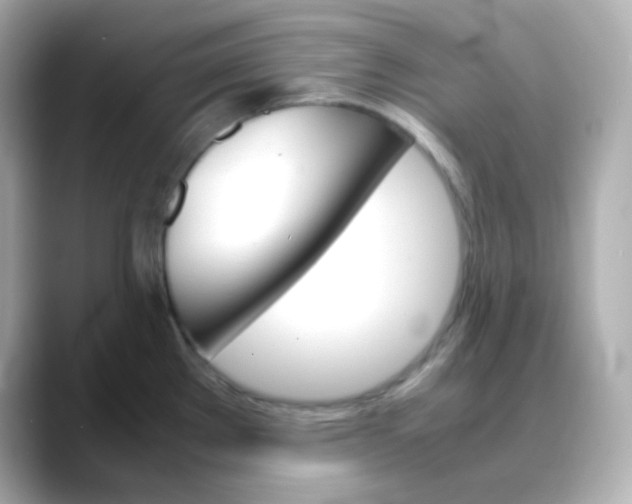 X0000088421289200706051205