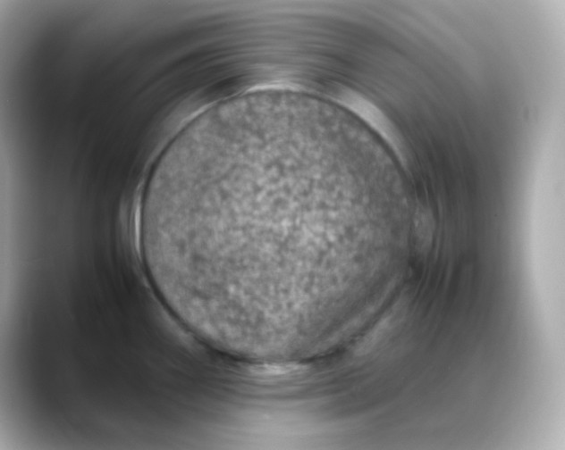 X0000088421290200706051205