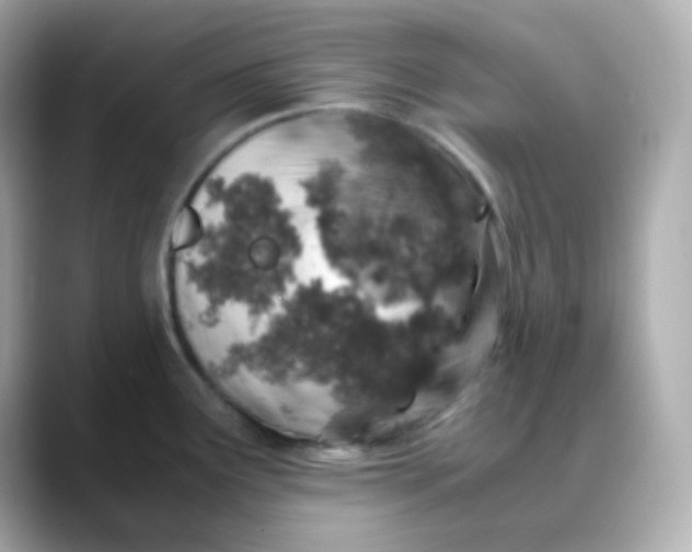 X0000088421291200706051205