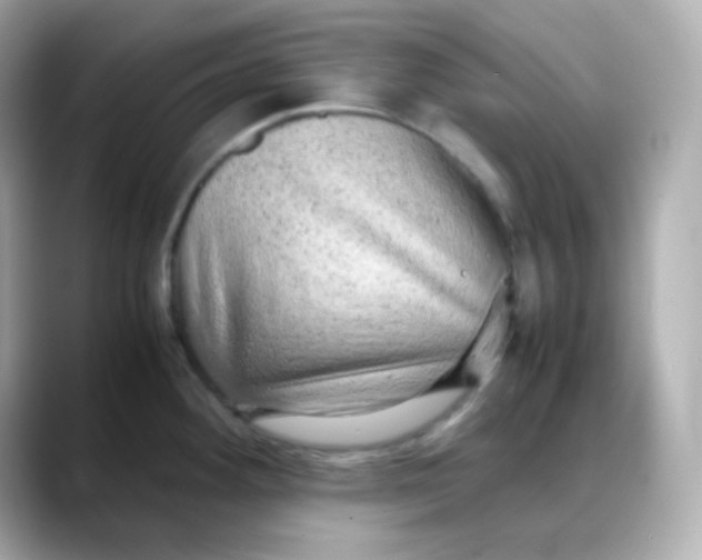 X0000088421292200706051205