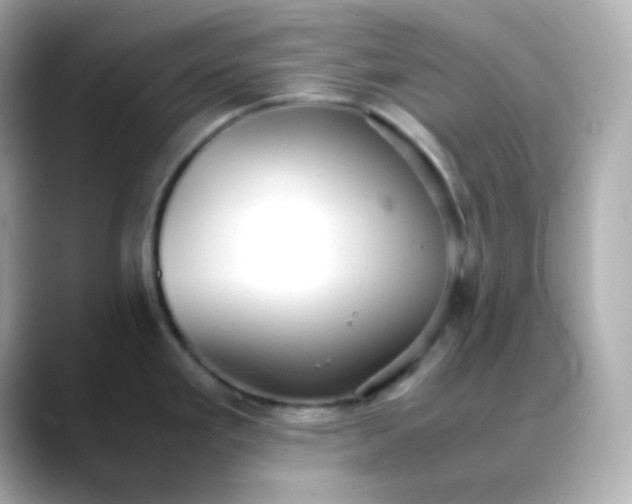 X0000088421293200706051205