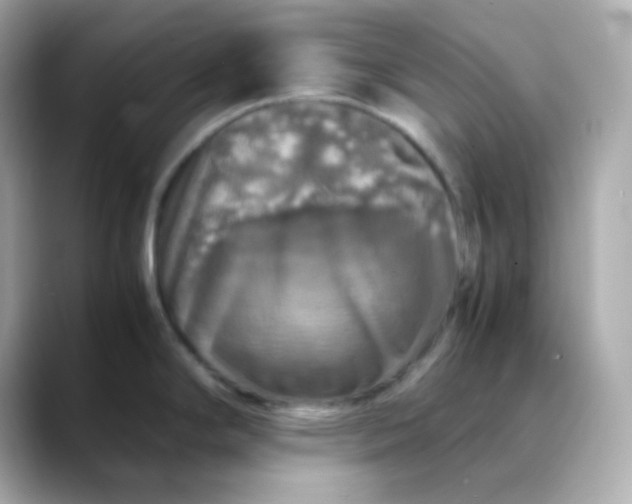 X0000088421294200706051205
