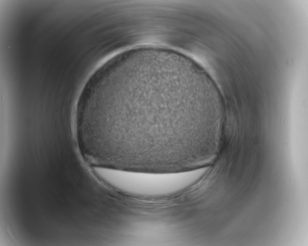X0000088421295200706051205