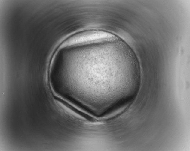 X0000088421296200706051205