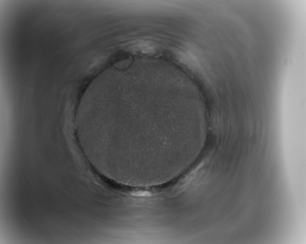 X0000088421297200706051204