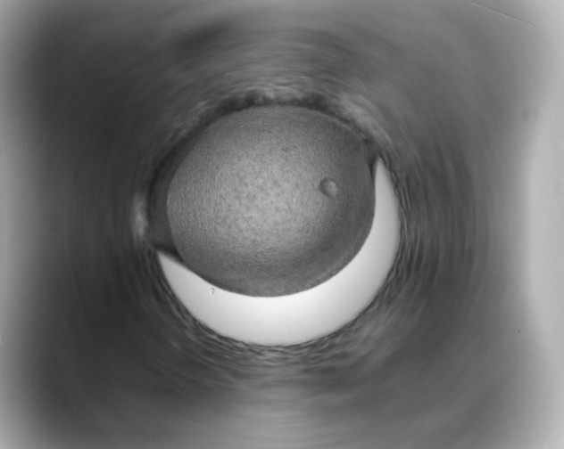 X0000088421298200706051204