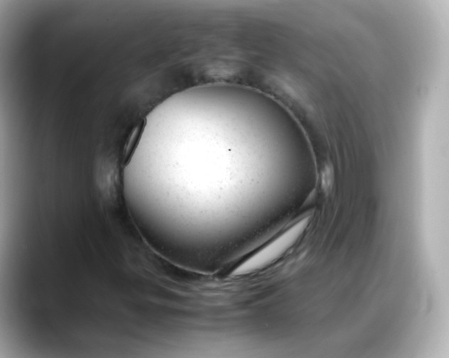X0000088421299200706051204