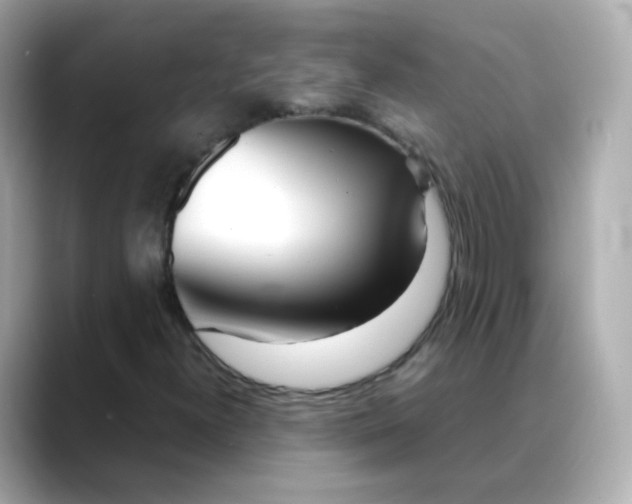X0000088421300200706051204
