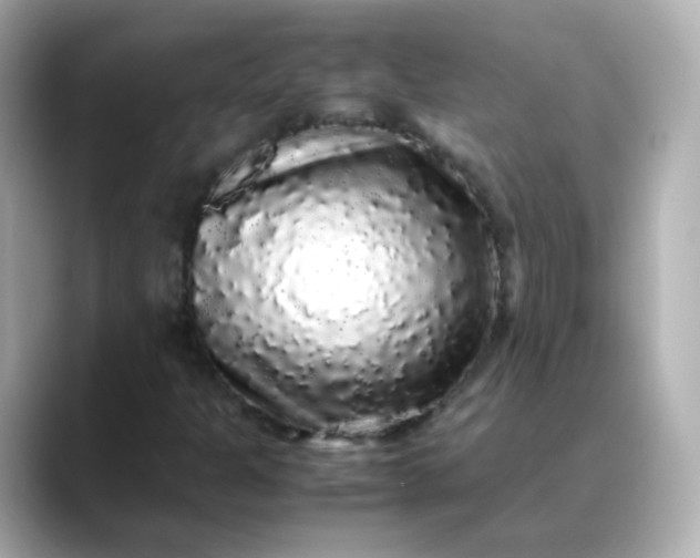 X0000088421301200706051204