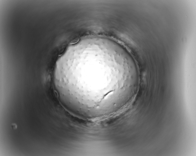 X0000088421302200706051204
