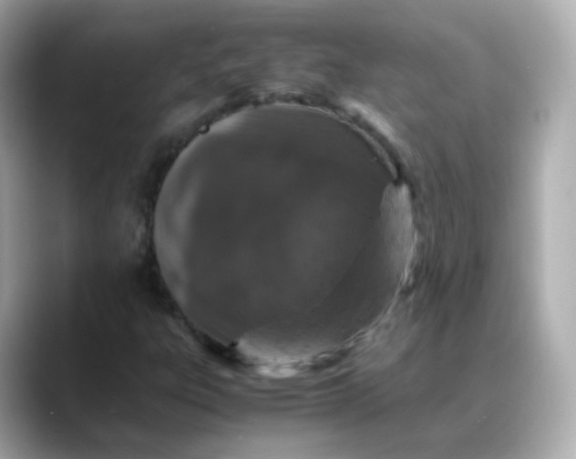 X0000088421303200706051204