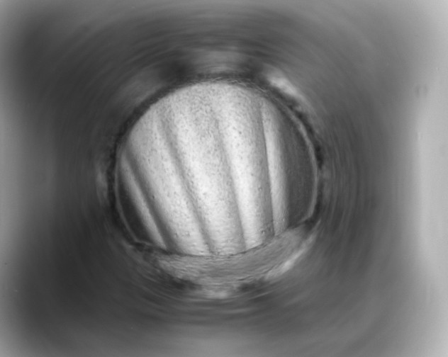 X0000088421305200706051204
