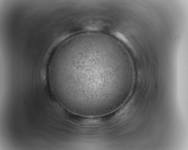 X0000088421307200706051204