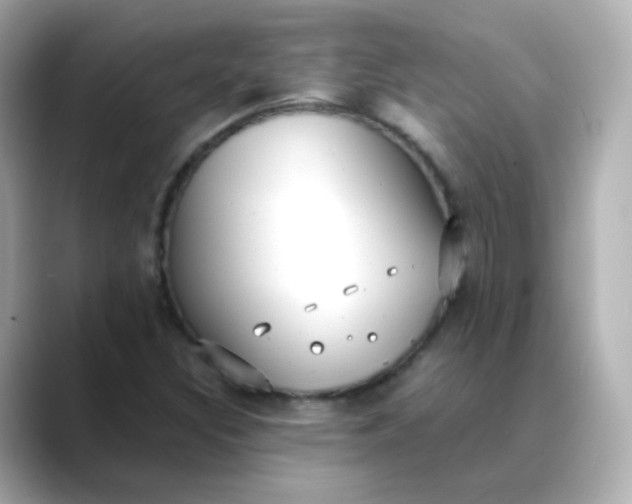X0000088421308200706051204