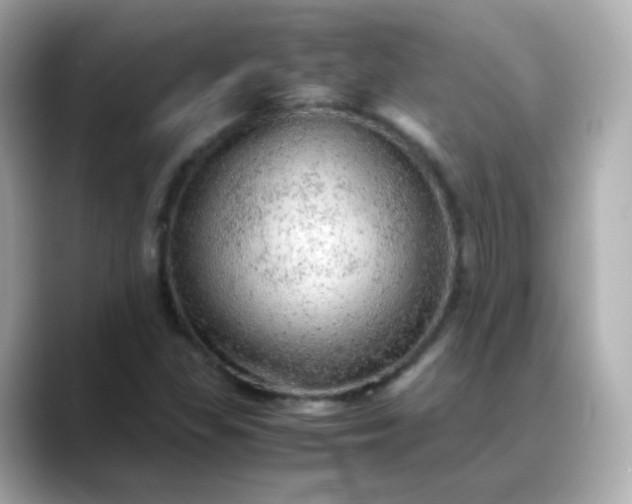 X0000088421309200706051204