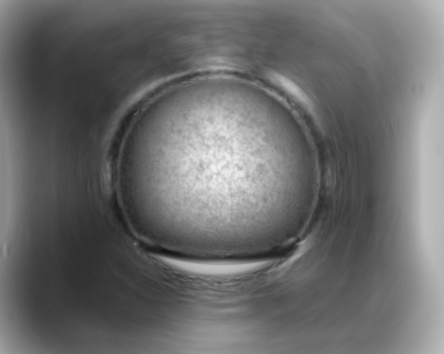 X0000088421310200706051204