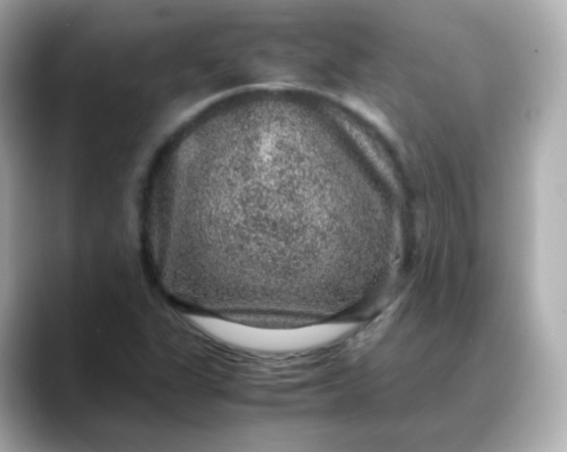 X0000088421311200706051204