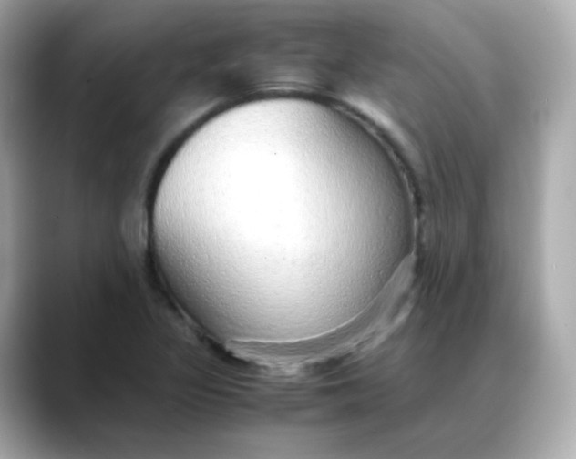 X0000088421317200706051204