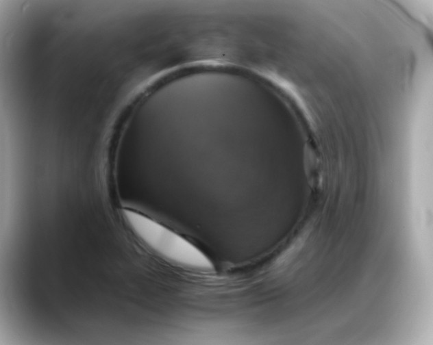 X0000088421319200706051204