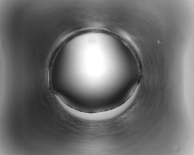 X0000088421320200706051204