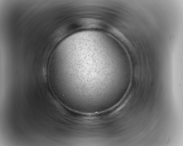 X0000088421321200706051204