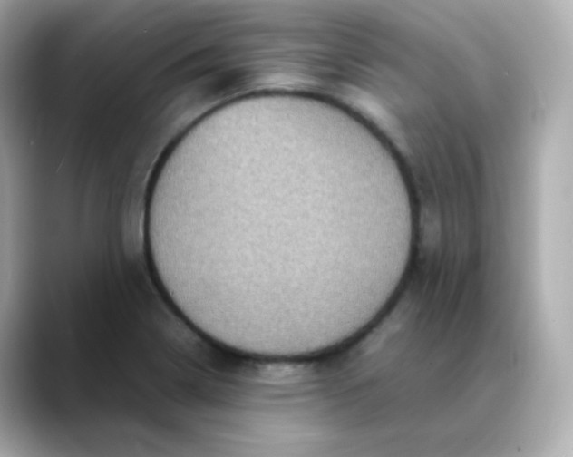 X0000088421322200706051204