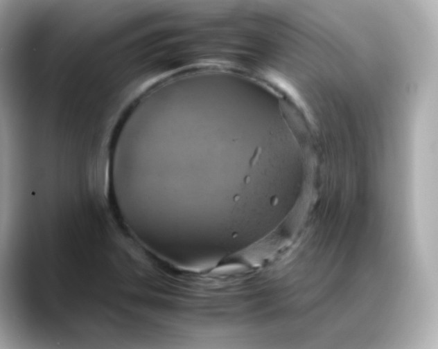 X0000088421323200706051204