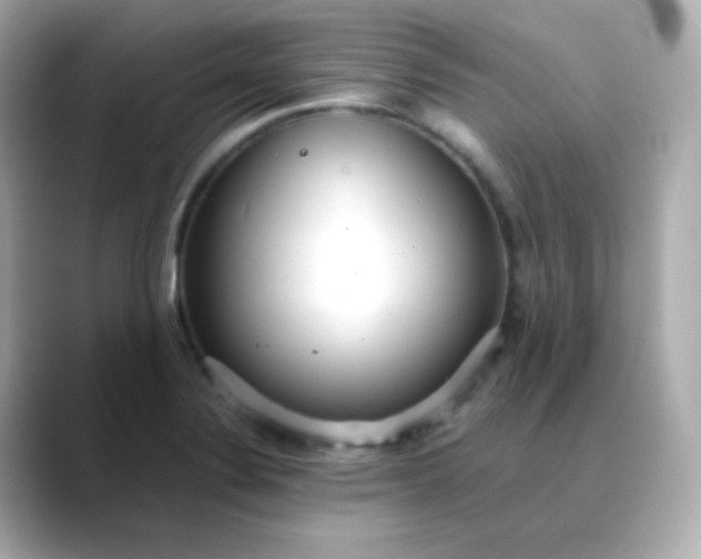 X0000088421324200706051204