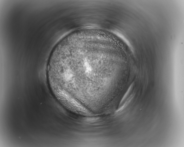 X0000088421325200706051204