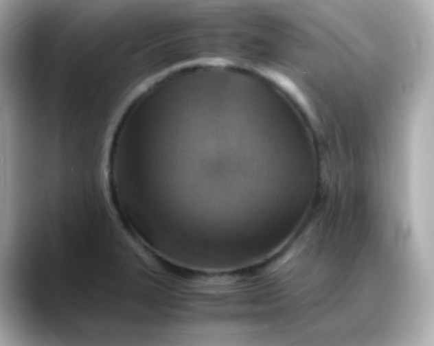 X0000088421327200706051204
