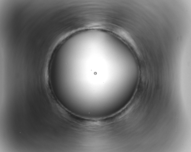 X0000088421328200706051204