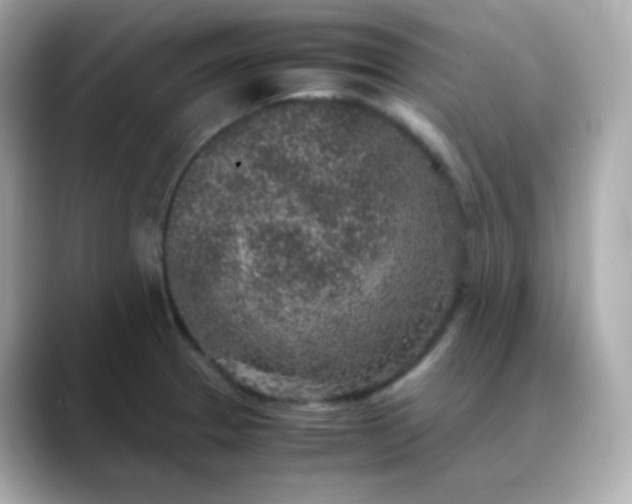X0000088421329200706051204