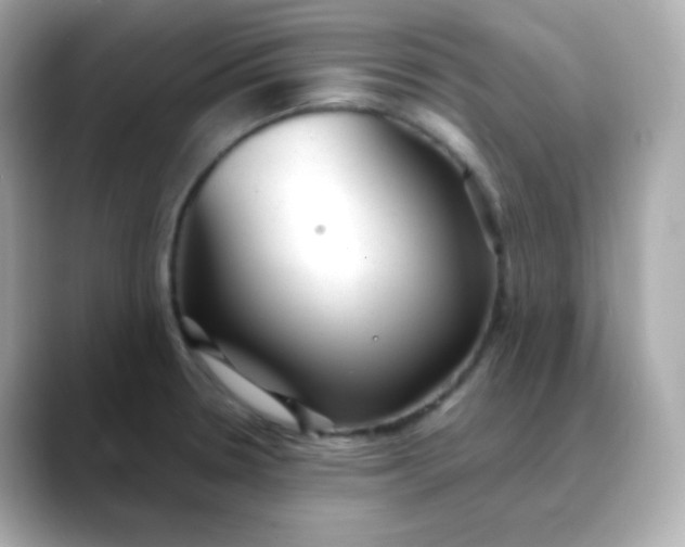 X0000088421330200706051204