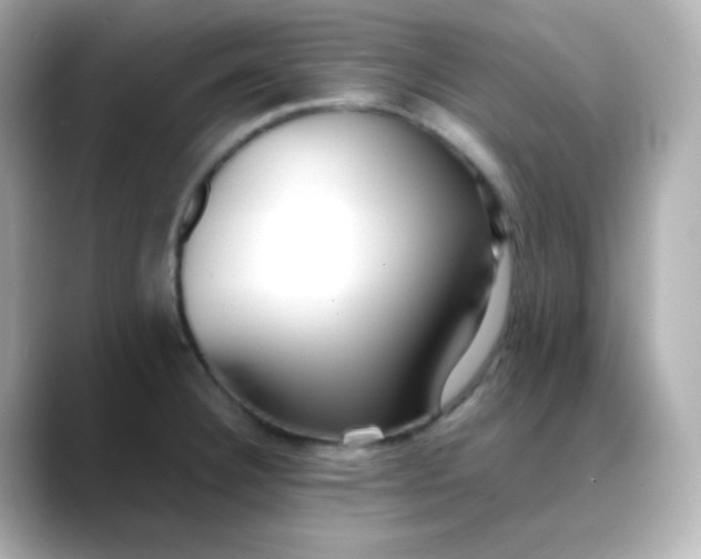 X0000088421332200706051205