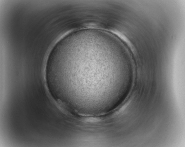 X0000088421333200706051205